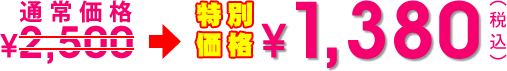 LoXR[hobOFʏ퉿i2500~̂ƂA1380~I