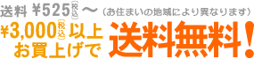 ����525�~�` 3000�~�ȏエ���グ�ő��������I